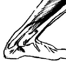 IJKA Karate, Technical article, Ankle